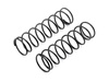 Spring Set 16x65x1.4mm 9 Coils (Firm/2pcs) #150236