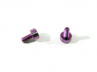 Titan Motor Screw