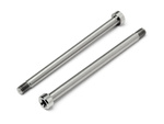 #101497 Titanium Front Outer Hinge Pin (Pr)
