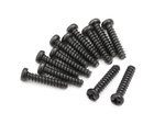#540053 Pan head Self Tapping Screws PBHO2.6*12mm