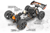 Vorza Nitro Buggy #160177