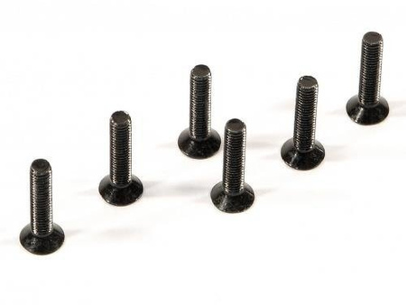 FLAT HEAD SCREW M3x15mm (6pcs) #Z529