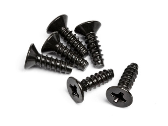 #Z577 Tp Flat Head Screw M3 X 10Mm (6 Pcs)