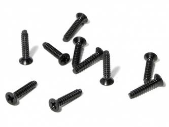 TP. FLAT HEAD SCREW M2x10mm (10pcs)