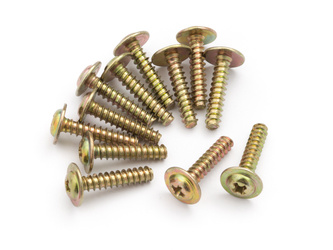 #540057 Flange Head Self Tapping Screws PWTHO2.6*12mm
