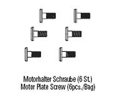 Motor Plate Screw (6pcs)